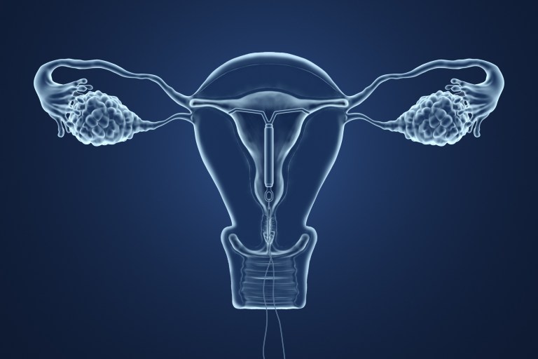 Crearon una vagina en un chip de silicona para probar tratamientos contra infecciones