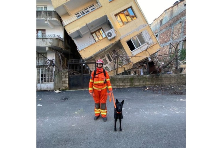 Conozca la historia de Vesper, el héroe canino más importante del Reino Unido