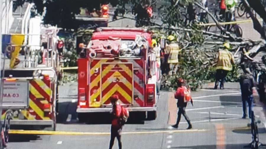 Equipo de rescatistas y bomberos ya se encuentran en la zona atendiendo la emergencia.