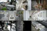 Un recorrido por el Cementerio Central