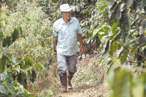 Se intensifica debate por proyecto de normativa para las tierras en el posconflicto