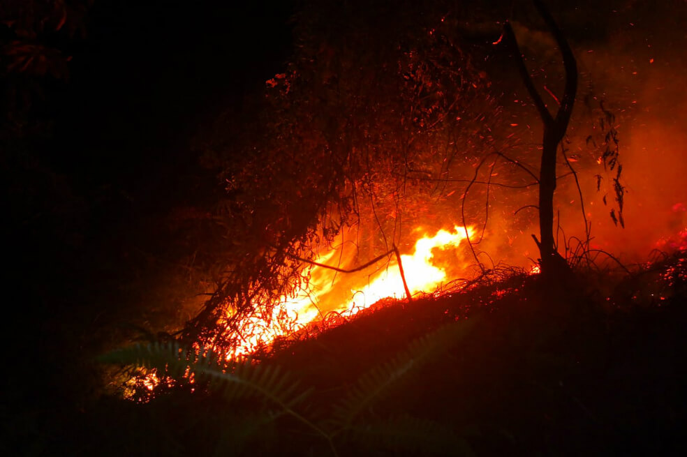 Incendio que consumió 112 hectáreas de bosque en Yumbo, Valle. / Bomberos de Cali