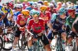 Etapa con final en alto en el UAE Tour 2026: hora y dónde ver en vivo a los colombianos