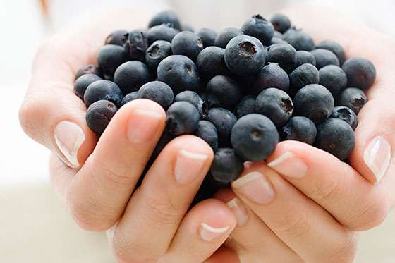 El arándano, fruto que previene el cáncer y alivia problemas cardiácos
