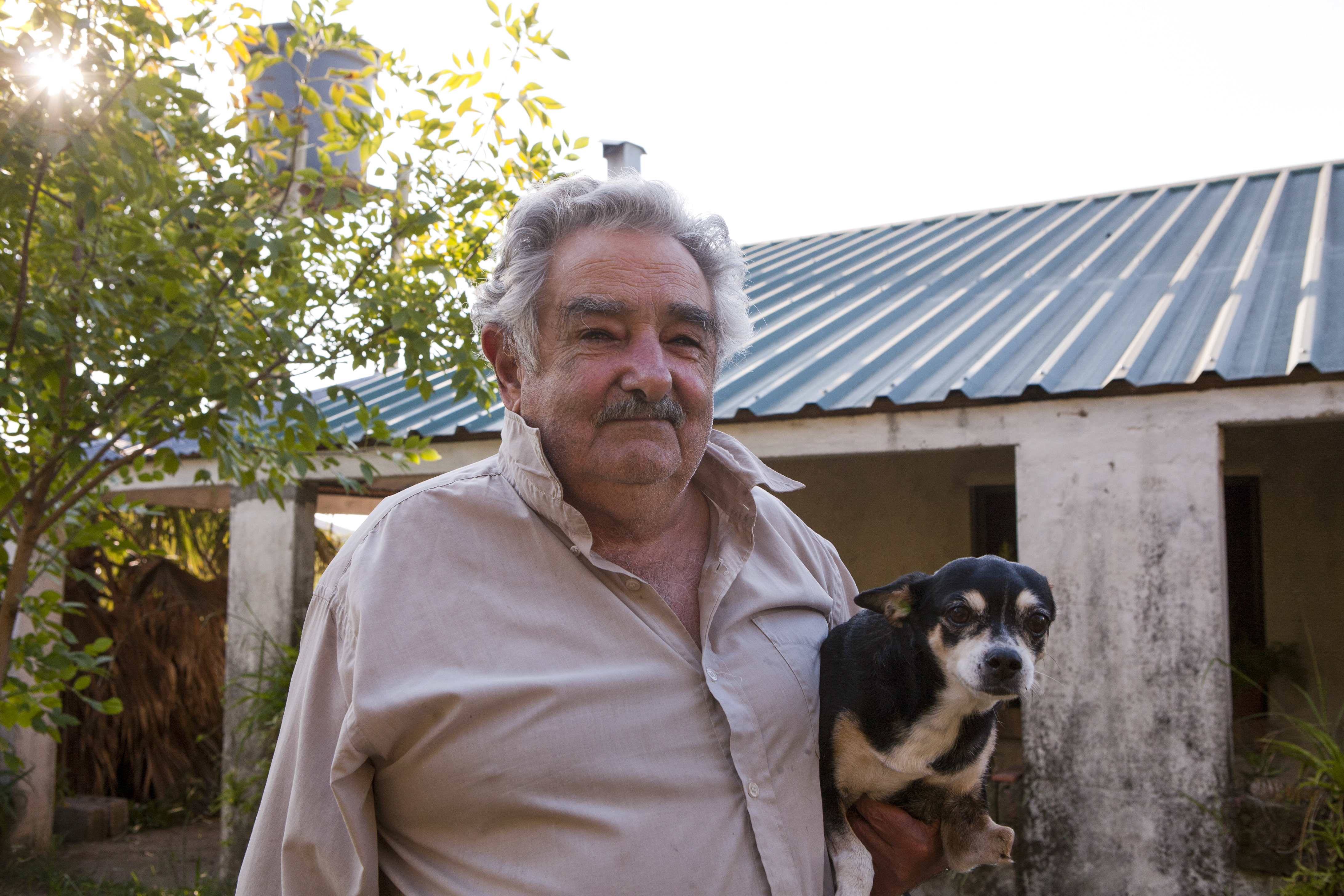 Era habitual verla sentada bajo la mesa de las reuniones más importantes del país o en las entrevistas que el entonces presidente ofrecía en su casa, rodeado de gallinas, tierra y mate.