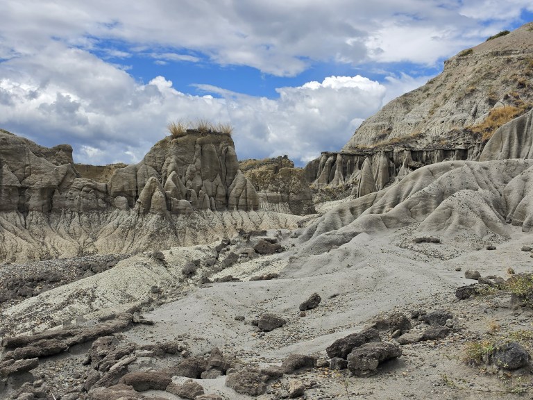 La visita también puede complementarse con el Museo de Historia Natural de la Tatacoa, donde se conservan más de 1.700 fósiles de mamíferos, reptiles, peces, aves y madera petrificada. Este espacio permite entender cómo era esta región hace millones de años, cuando estaba cubierta por una exuberante selva tropical.