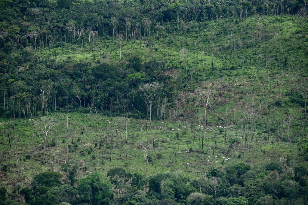 Deforestación en Chiribiquete