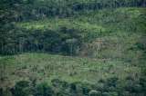 Los puntos clave de la Ley de delitos ambientales aprobada en Colombia