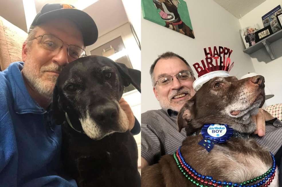 Hombre creó un santuario para perros ancianos que fueron abandonados por sus familiares.