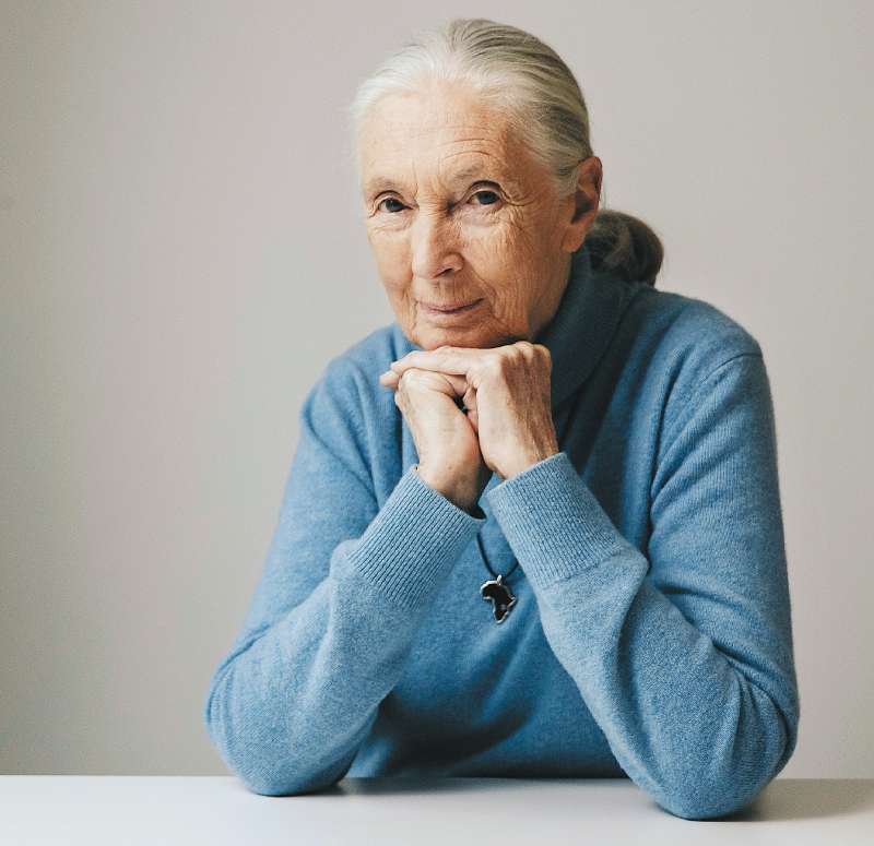 Jane Goodall, primatóloga británica. / AP