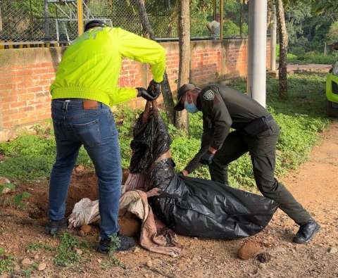 En Bucaramanga, perra murió tras brutal golpiza; exigen aplicación de la Ley Ángel