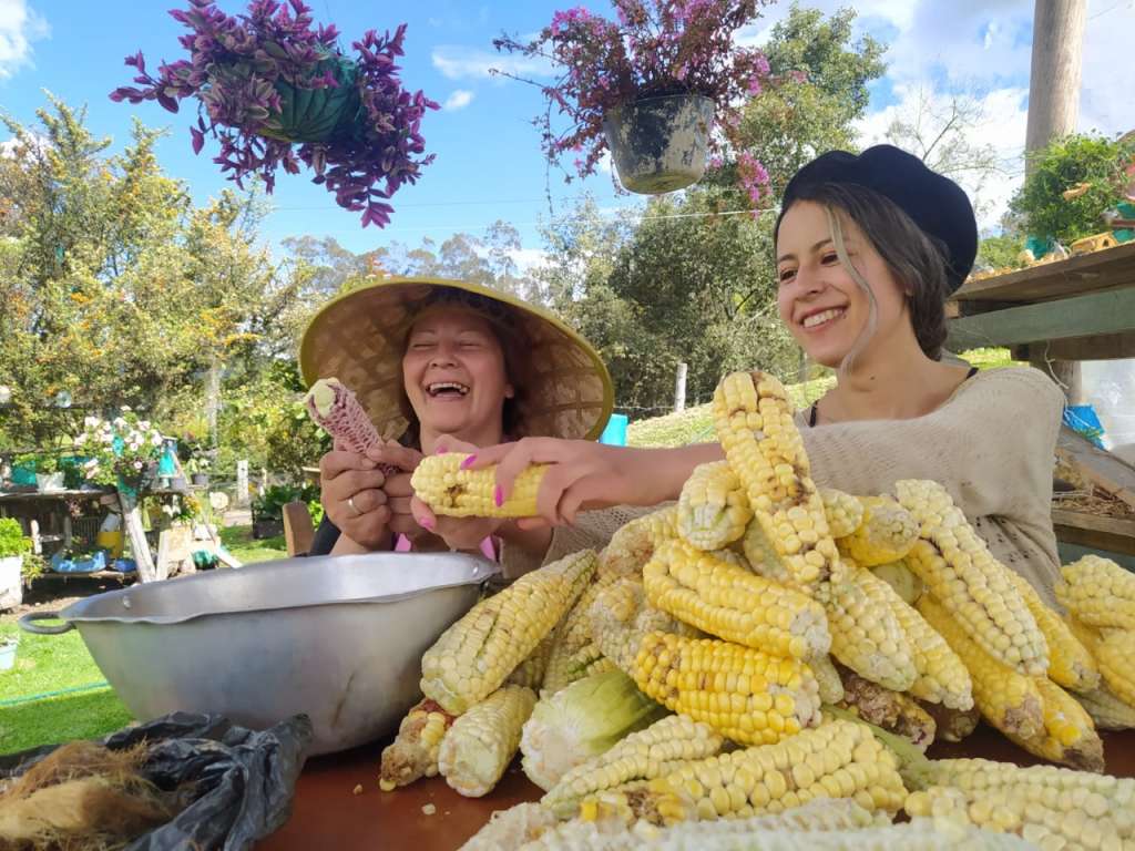 La producción de alimentos orgánicos y sostenibles en Tabio, Cundinamarca, es uno de los emprendimientos más destacados que han surgido en la plataforma.