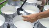 Desde el Congreso piden sanciones más severas contra empresas que adulteran la leche con lactosueros