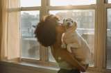 Día mundial del perro: ¿por qué se celebra el 21 de julio?