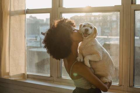 Abrazar a un perro reduce el dolor, confirma estudio.