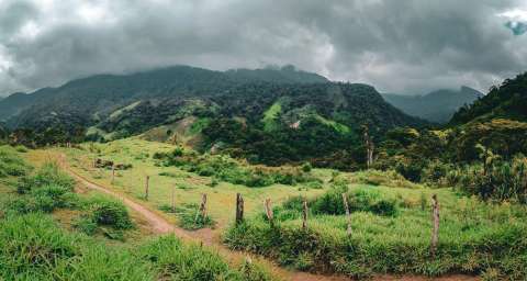 Pago por servicios ambientales: ¿una oportunidad para la construcción de paz?