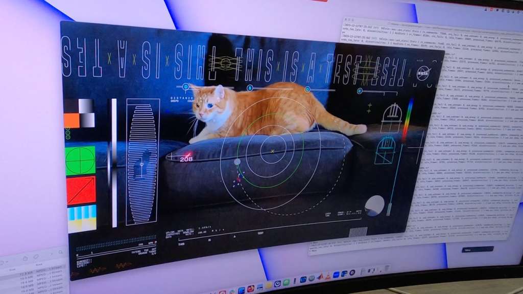 Taters, el gato que aparece en el video es la mascota de uno de los funcionarios de la NASA. /