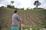 Con una inversión de $186.000 millones se fortalece la producción agroalimentaria