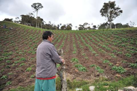 Esto hará el Gobierno para mitigar el impacto en el agro del fenómeno de El Niño