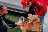 El día que Roscoe, el perro de Hamilton, conoció a Leo, el compañero de Leclerc