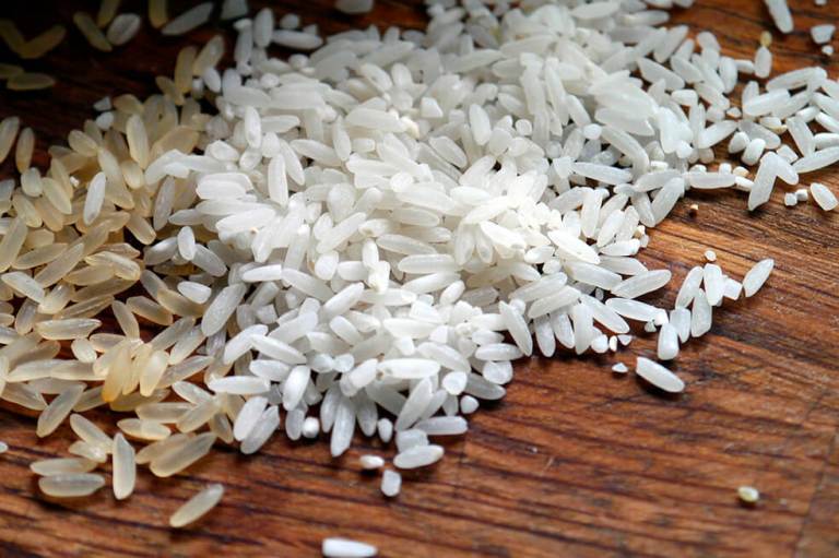 Meta de siembra de arroz para este año supera las 530.000 hectáreas