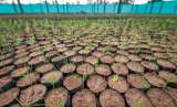 Recuperar los bosques y ecosistemas marinos, la tarea del país en los próximos años