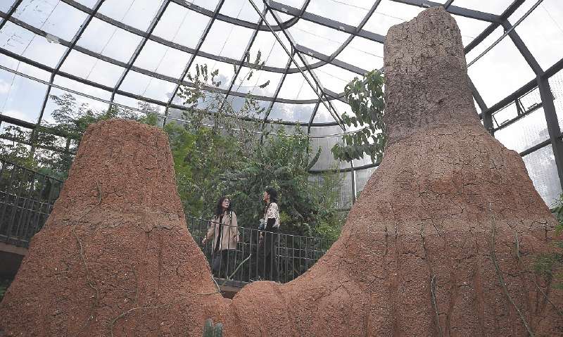 Jardín Botánico de Bogotá - Tropicario