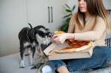 ¿Qué debe comer su perro según tamaño y edad? Esto dicen los expertos