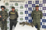 Rescatan 77 ejemplares de fauna silvestre en Bolívar, Sucre y Antioquia
