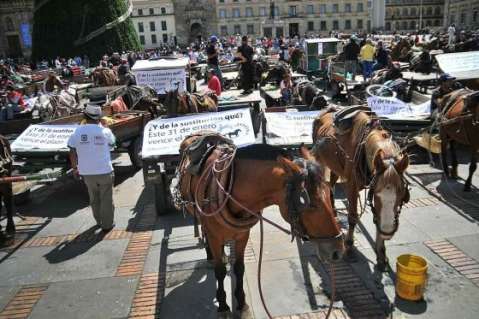"Desde hoy cesa la tracción animal en Bogotá": Petro