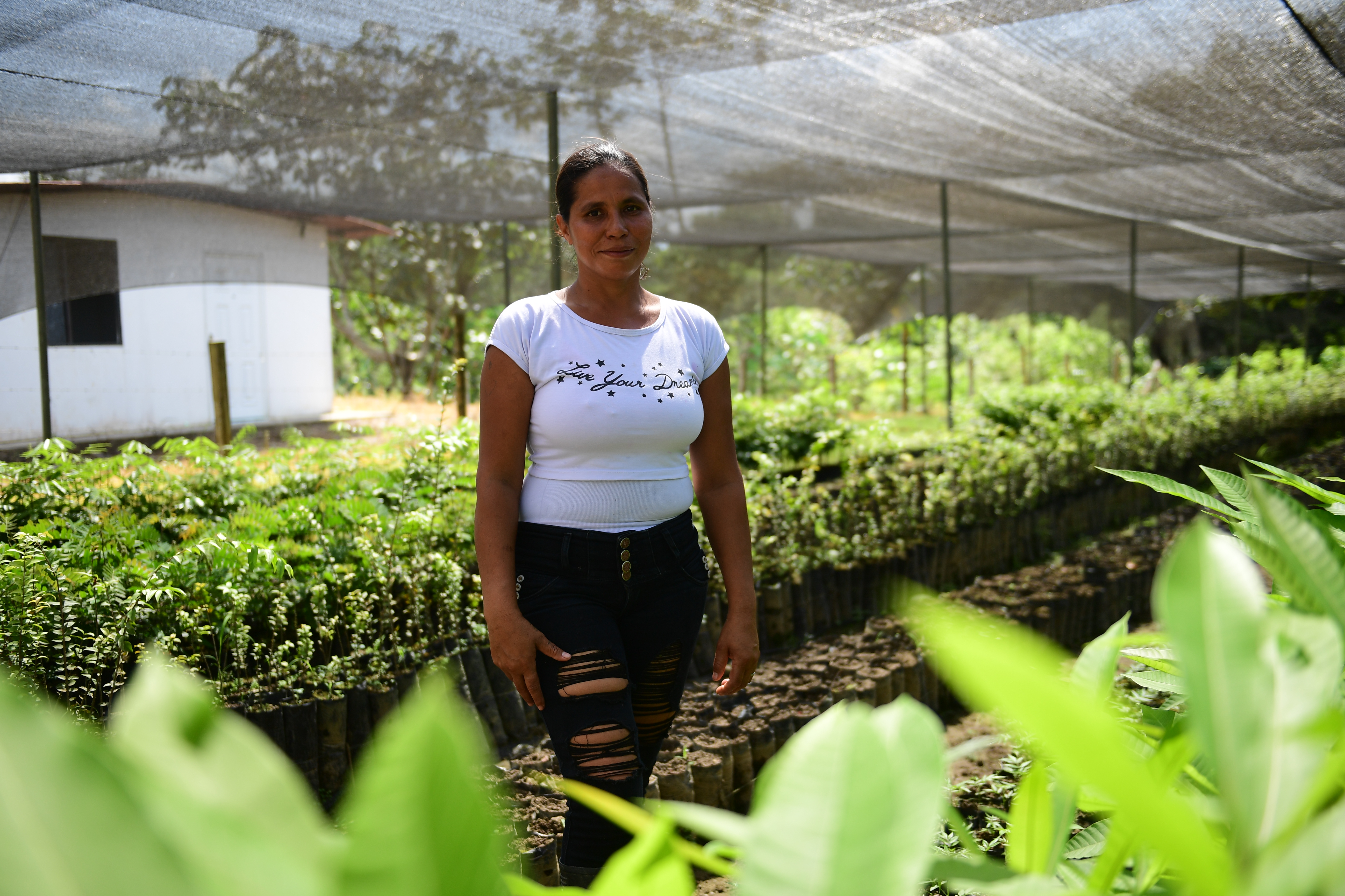 Lindelia Álvarez tiene a cargo el vivero en el ETCR La Carmelita /d