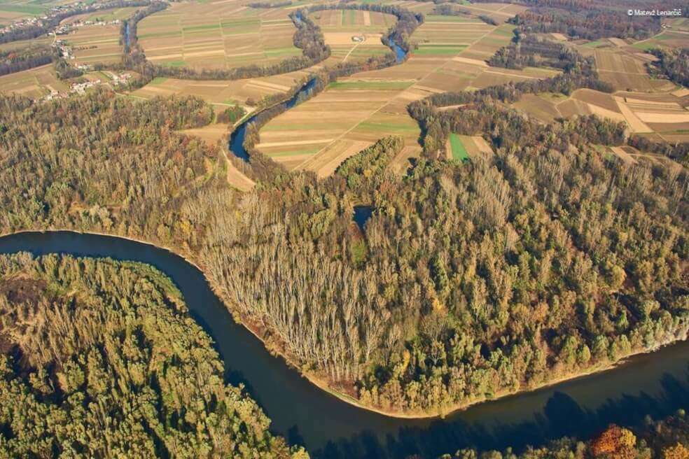 Río Mura, que aún fluye sin ser alterado a través de Austria, Eslovenia, Hungría Croacia y Serbia. / Matevž Lenar?i?-WWF