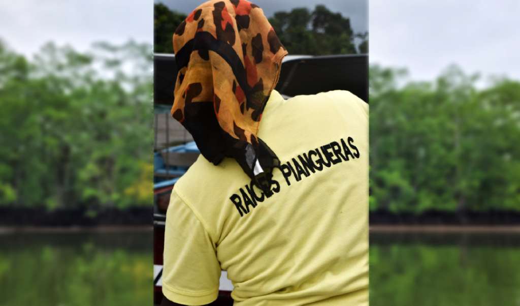 La Asociación de Mujeres Piangüeras Raíces del Manglar son las encargadas del cuidado y manejo del ecosistema en los sitios del manglar donde se lleva a cabo la extracción de la piangua.