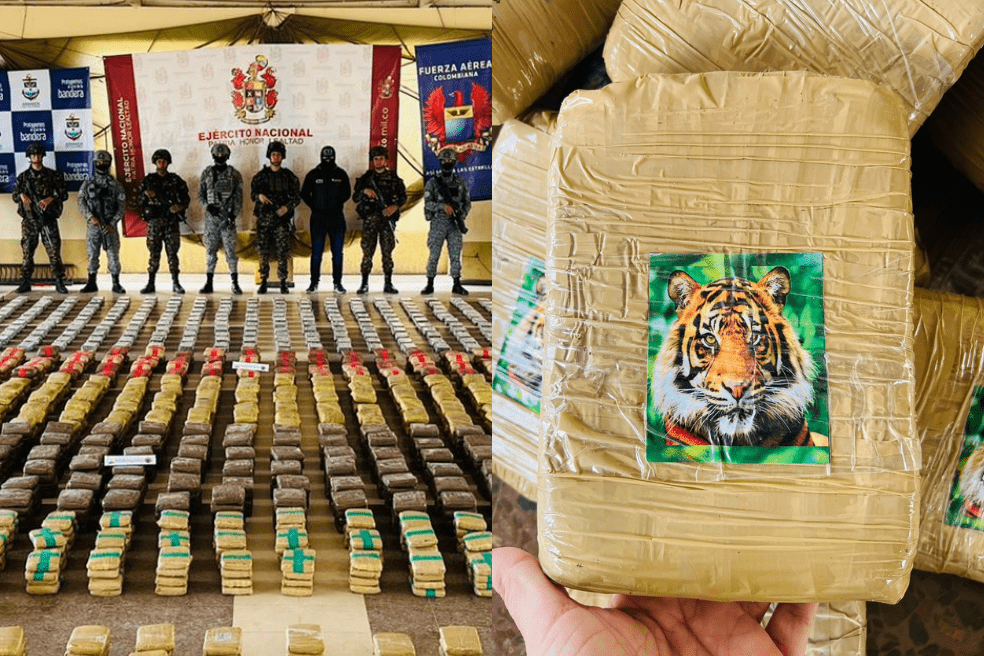 La droga era transportada por cuatro sujetos, una mujer y tres hombres, en dos vehículos de carga.