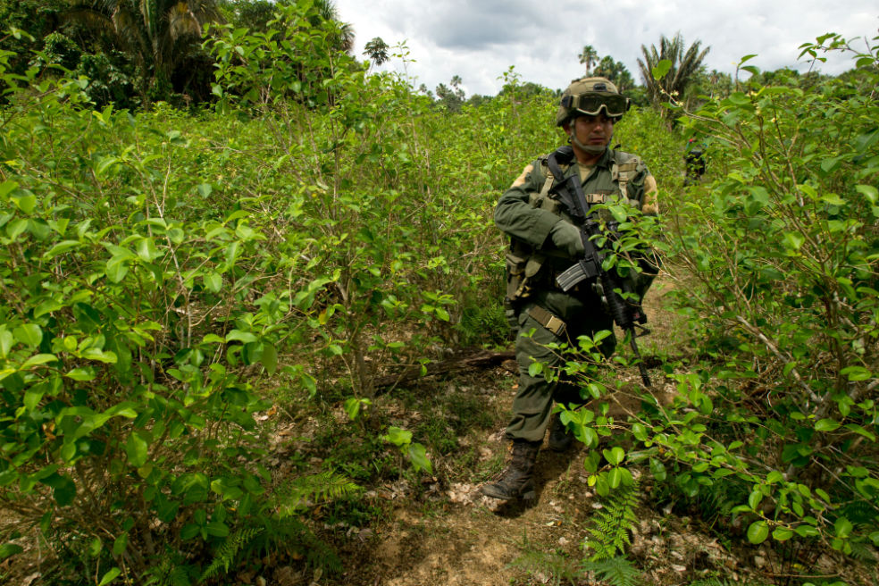 El Ejército en medio de las plantaciones de coca, en zona rural de Puerto Asís. / / AFP