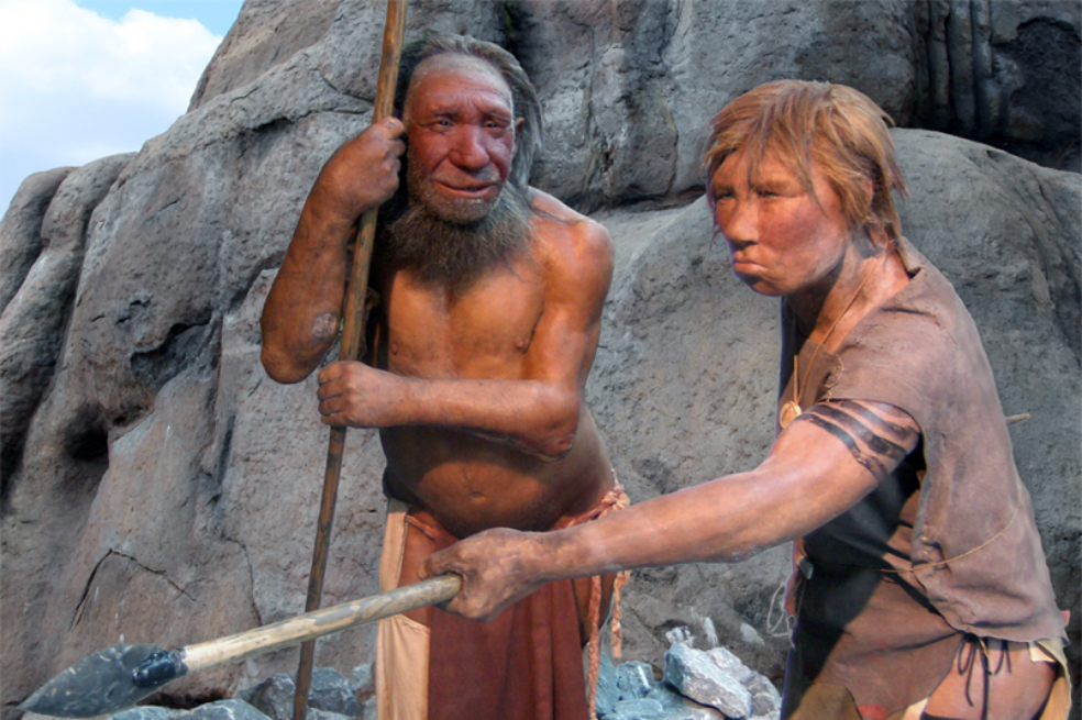 Incluso 50.000 años después del último cruce entre humanos y neandertales, podemos ver impactos medibles en la expresión de los genes.  / Vikipedi
