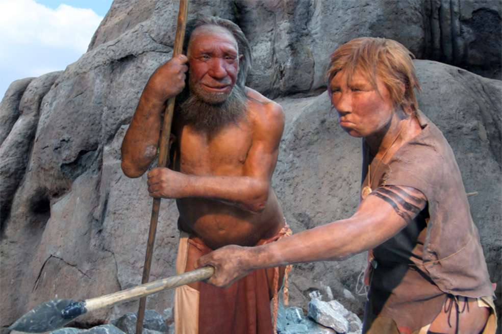 Incluso 50.000 años después del último cruce entre humanos y neandertales, podemos ver impactos medibles en la expresión de los genes. / Vikipedi