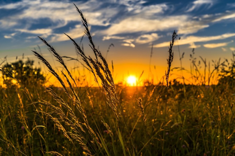 La temperatura del Valle del Cauca aumentaría un grado en los próximos 10 años