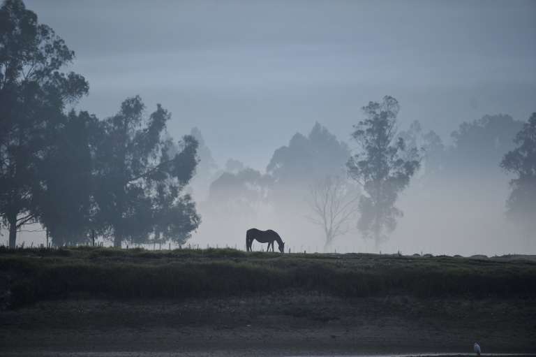 Heladas en Cundinamarca.