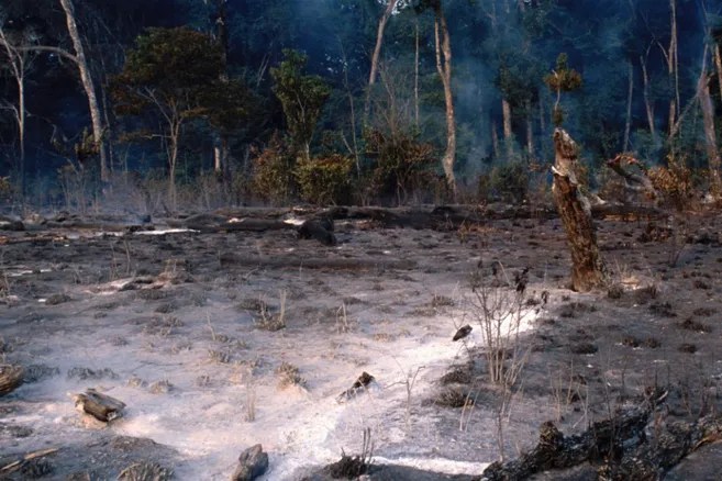 La ciencia muestra claramente que la pérdida de biodiversidad, la degradación de la tierra y el mar, la contaminación, el agotamiento de los recursos y el cambio climático se están acelerando a un ritmo sin precedentes.