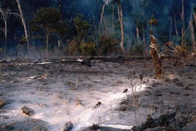 La ciencia muestra claramente que la pérdida de biodiversidad, la degradación de la tierra y el mar, la contaminación, el agotamiento de los recursos y el cambio climático se están acelerando a un ritmo sin precedentes.