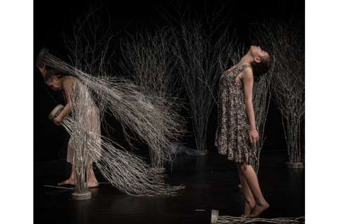 “Estela”, el rastro del movimiento