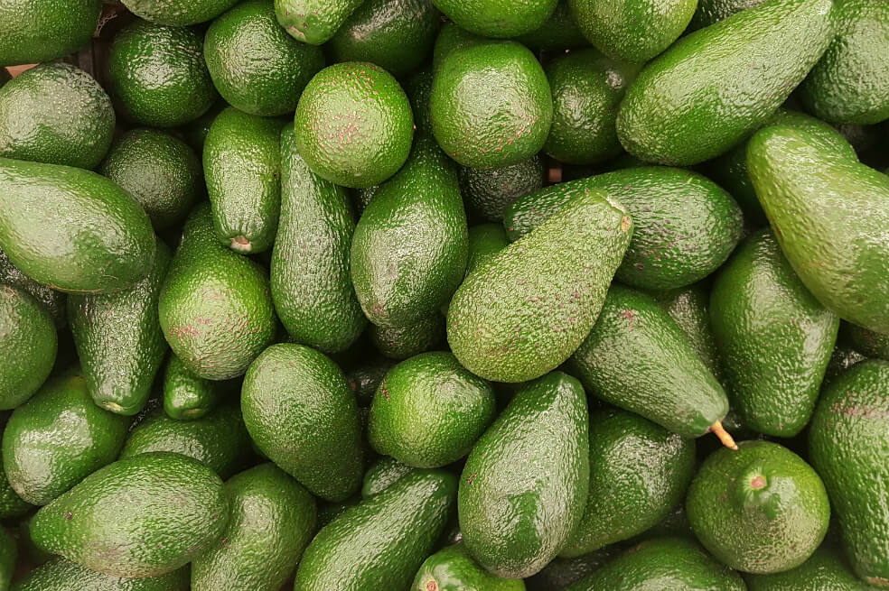 El aguacate hass tuvo un crecimiento de 42,6 % en volumen, con 50.999 toneladas exportadas. / Pixabay.