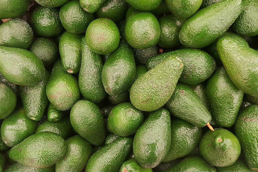 El aguacate hass tuvo un crecimiento de 42,6 % en volumen, con 50.999 toneladas exportadas. / Pixabay.
