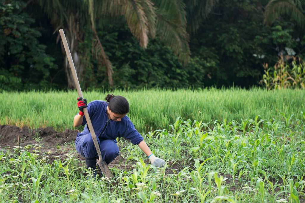 “Utopía” es un parque agroindustrial, a 12 kilómetros de Yopal.