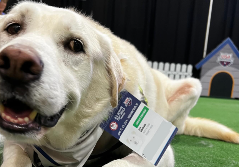 Izzo: el perro con cáncer que prepara a nadadores de EE.UU. para los Olímpicos 2024