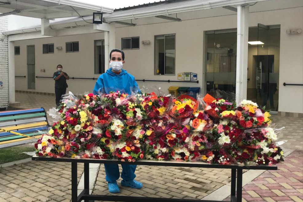 El gremio entregará el próximo 10 de mayo flores a mujeres de la tercera edad que integran los hogares de la Secretaría de Integración Social en Bogotá.  
 / EFE. 