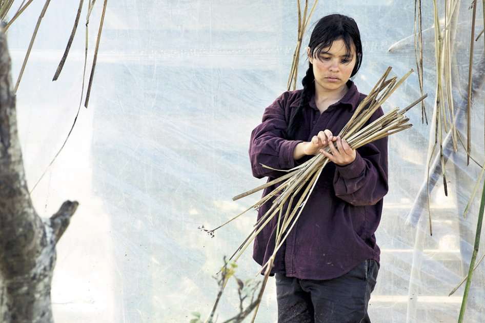 Una imagen de la película ‘La sirga’, producción que se realizó en parte con fondos promovidos por la Ley de Cine. /Archivo particular