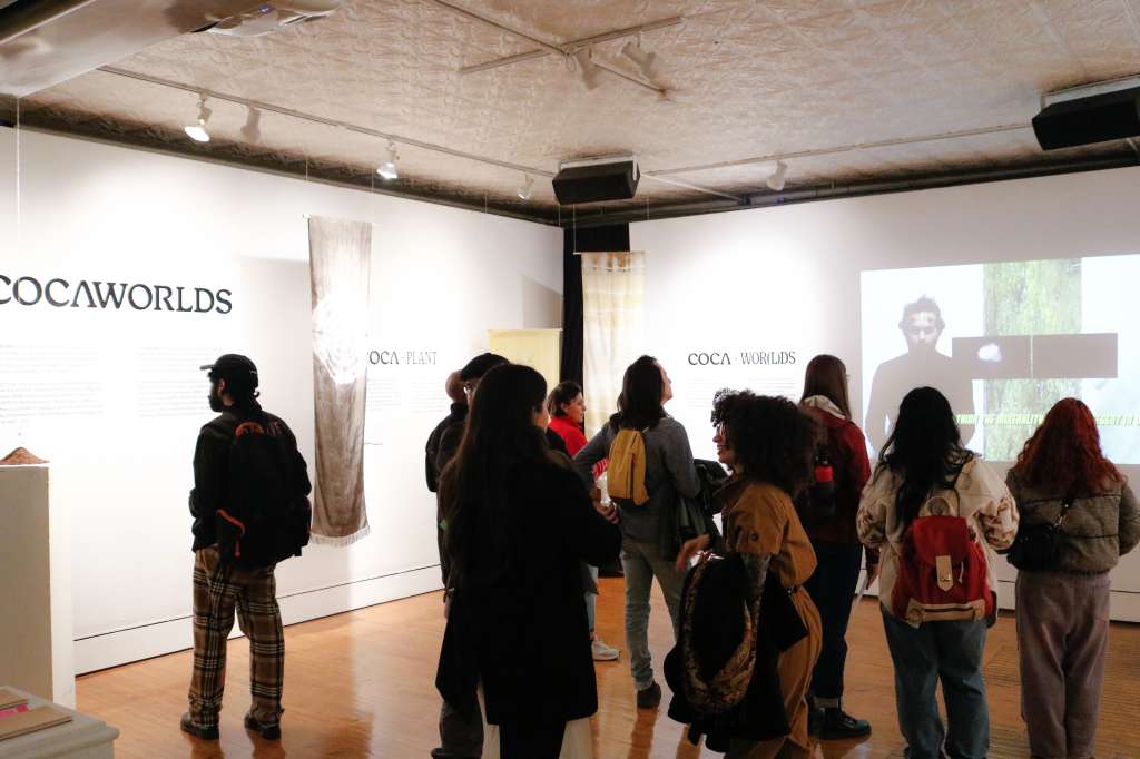 La exposición agrupa tres propuestas artísticas sobre tres reflexiones alrededor de la planta de coca.