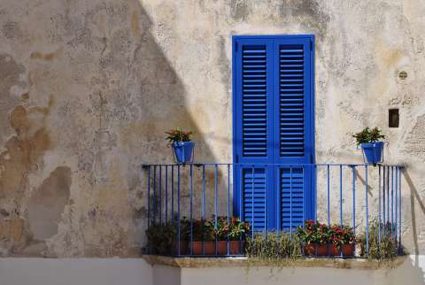 Las mejores plantas de exterior para los balcones o terrazas
